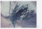 柏原 恵美 展/7.26 mon 〜7.31 sat