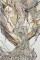 加藤フリーダ展/4.21 mon 〜4.26 sat