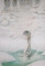 杉岡みなみ展/6.8 mon 〜6.13 sat