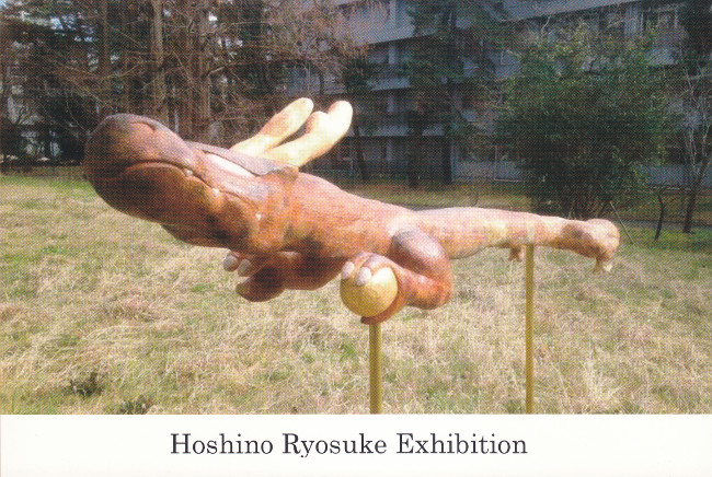 星野良輔個展/DM160926-1001画像