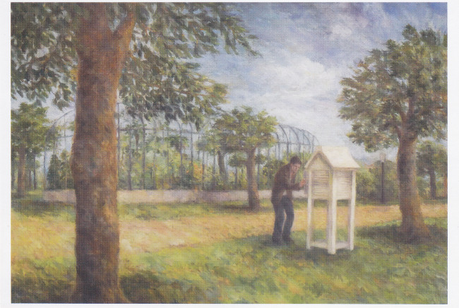 辻美保子/DM171009-1014画像