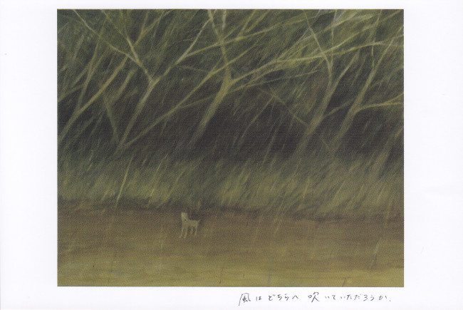 舘田美玖個展/DM191028-1102画像