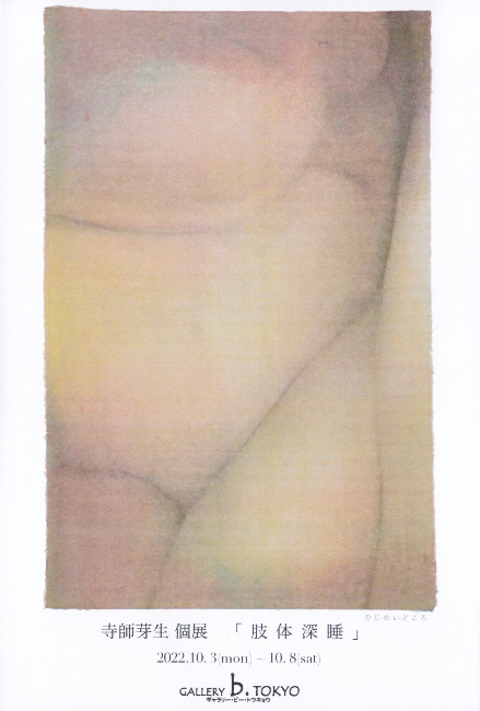 寺師芽生個展/DM221003-1008画像