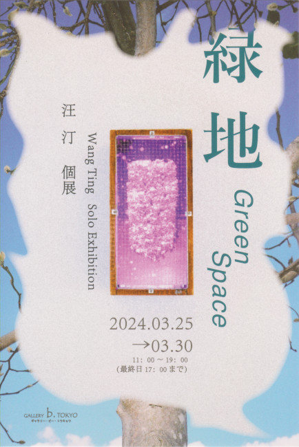 汪汀個展/DM240325-0330画像